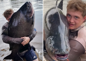 Jovem que pescou ‘monstro dos rios’ de mais de 40 kg comemora: ‘Maior feito que dá para fazer no pesqueiro’